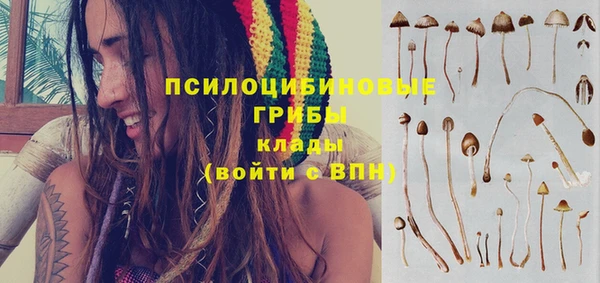 наркотики Каменногорск