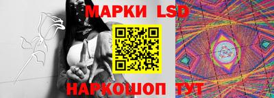 гашик Дубна