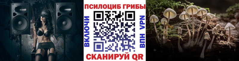 Псилоцибиновые грибы GOLDEN TEACHER  hydra ТОР  Ревда 